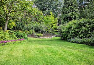 Optimiser l'expérience du jardin à Loc-Envel