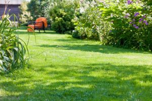 travaux jardin et paysage Loc-Envel